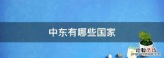 中东有哪些国家，中东是怎么划分的有哪些国家