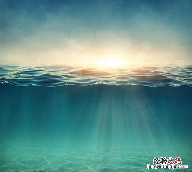 鱼为什么会烂身