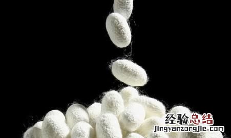 桑蚕丝的优缺点，桑蚕丝与棉混纺t恤的优缺点
