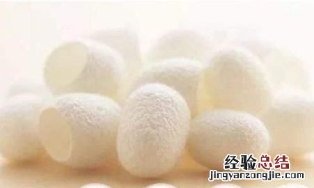 桑蚕丝的优缺点，桑蚕丝与棉混纺t恤的优缺点