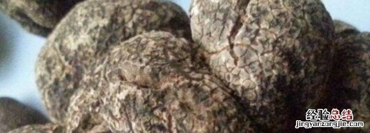 黑松露是啥，意大利黑松露是啥做的
