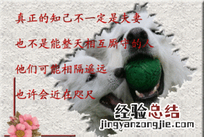 真正的蓝颜知己和红颜知己是怎样的呢