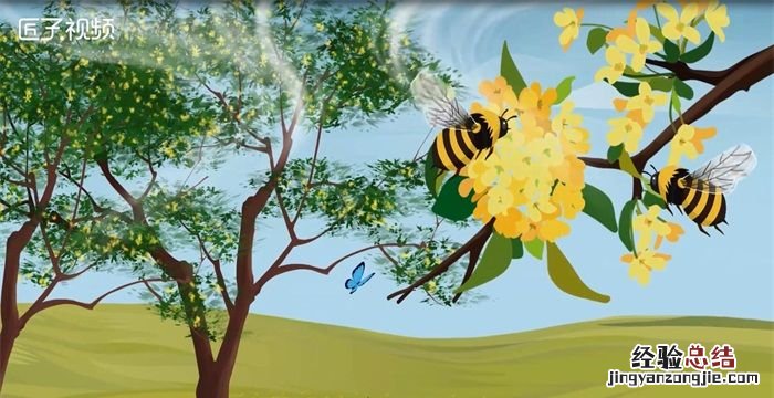 金桂飘香是什么意思,八月桂花十里飘香是什么意思