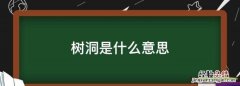 树洞是什么意思，树洞榕是什么意思网络用语