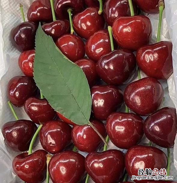 樱桃什么时候成熟,樱桃的成熟季节是什么时候