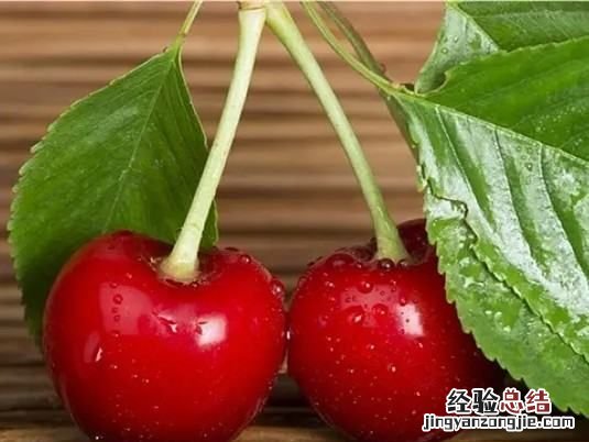 樱桃什么时候成熟,樱桃的成熟季节是什么时候