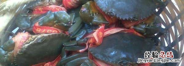 青蟹死了多久不能吃