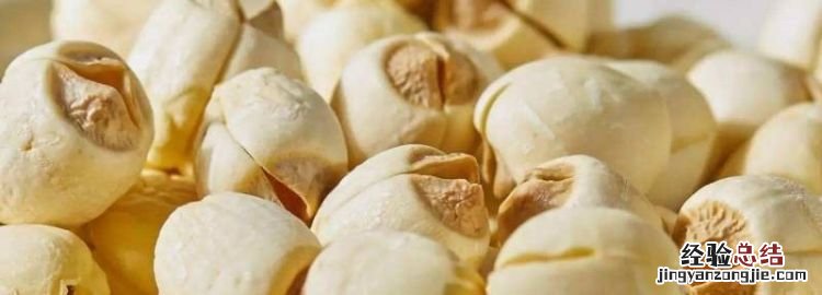 莲子要泡多久才发芽，莲子要泡多久才可以煮