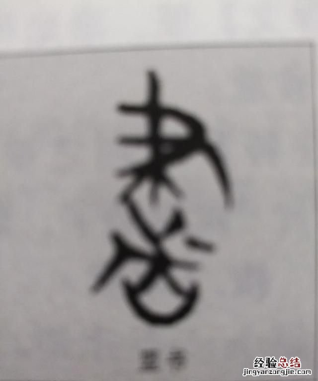 夜书所见诗中的书指的是什么意思