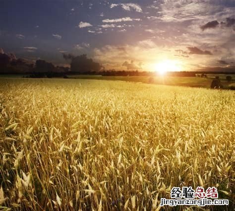 光速快得无法想象 光速究竟有多快