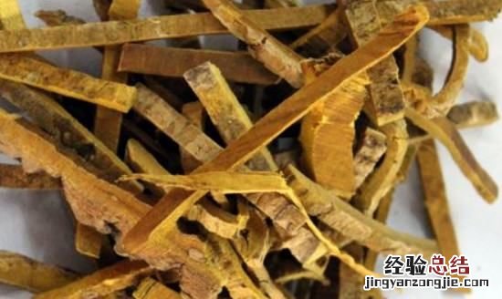 红豆杉的功效与作用,红豆杉的八大功能特点