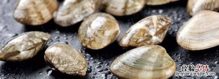 花甲是海鲜，和花甲差不多的椭圆形海鲜叫什么