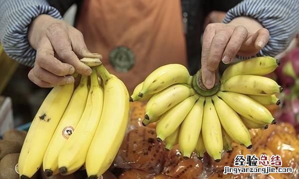香蕉和芭蕉怎么区别