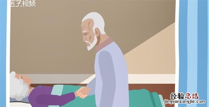 玫瑰花语每朵代表什么