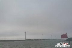 家里的黄蚂蚁太多了怎么办