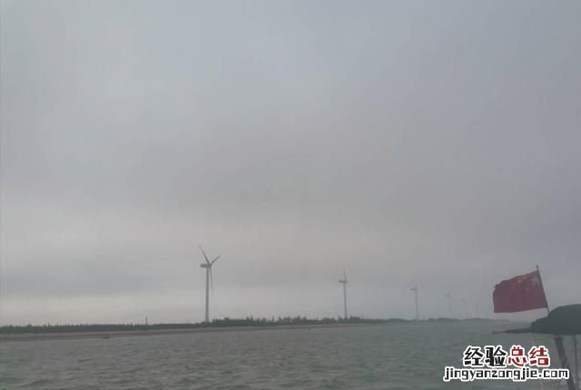 家里的黄蚂蚁太多了怎么办