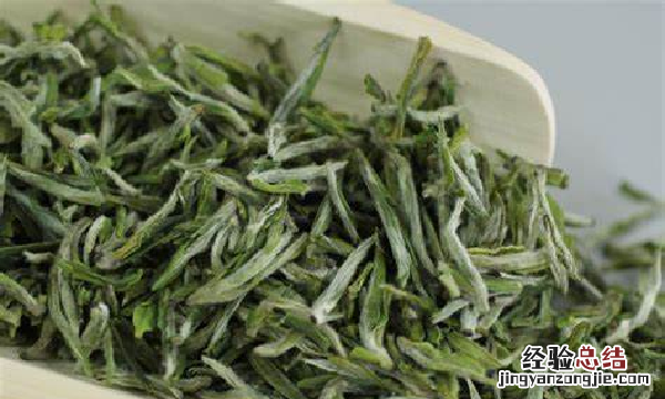 雪芽是什么