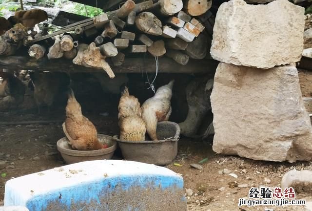 养老何去何从,失独家庭养老何去何从