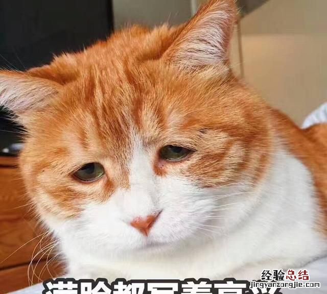 面试时怎么提高面试官对你的兴趣呢