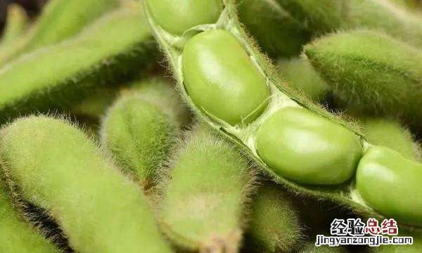 植物的传播方式有哪些