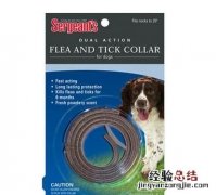 跳蚤最怕什么,跳蚤最怕什么消灭方法