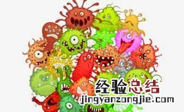 面包可以放冰箱