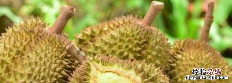 榴莲没熟打开后怎么办