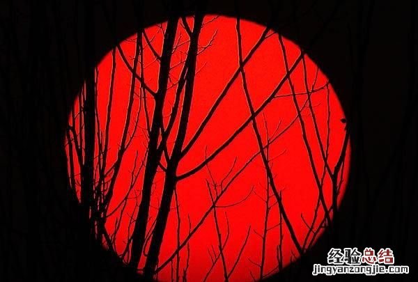 为什么大海是蓝色的笑话 为什么大海是蓝色的