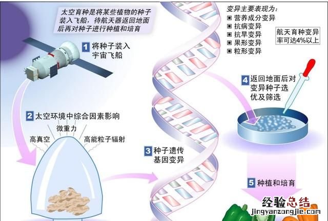 空间站有什么作用