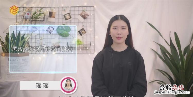 黑玫瑰花语及代表意义，黑红色玫瑰花叫什么名字