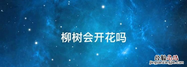 柳树会开花，雪柳干树枝子为什么能开花