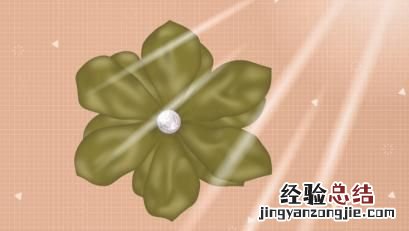 长寿花不开花是什么原因呢,长寿花不开花光长叶子是什么原因