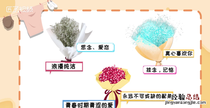 满天星花语和寓意，满天星花语下一句是什么