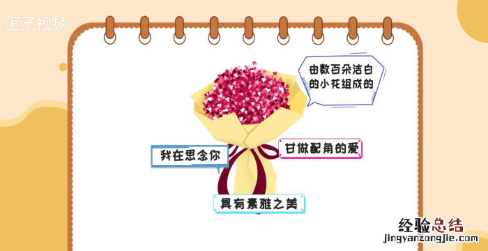 满天星花语和寓意，满天星花语下一句是什么