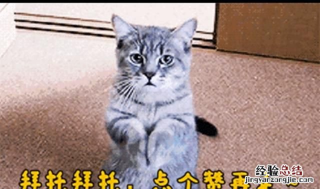 qq刷钻骗局 qq刷钻的后果是什么