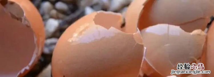 鸡蛋壳可以回收，鸡蛋颗粒是什么垃圾