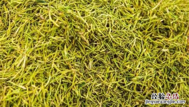 金银花怎么烘干