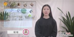 紫玫瑰花语，蓝色满天星和粉色玫瑰花语