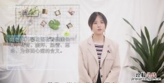 康乃馨的花语是什么，红色康乃馨花语是什么
