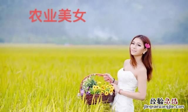 银杏树叶子有什么功效和作用