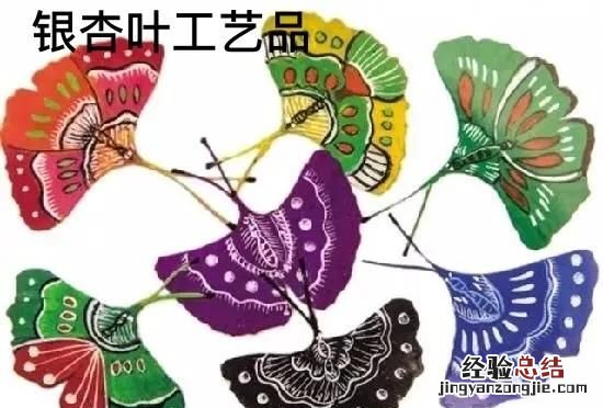 银杏树叶子有什么功效和作用