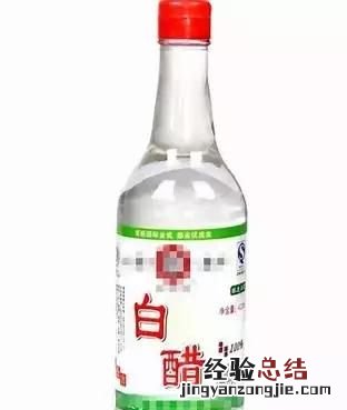 醋与白醋两者有什么功效和作用,醋和白醋的作用与功效区别