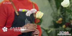 香槟玫瑰的花语是什么