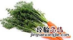 红色的萝卜叫什么，粉红色的萝卜叫什么名字