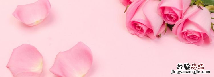 粉玫瑰的花语