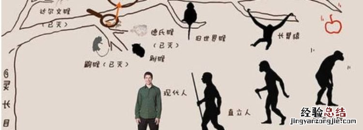 人的由来,人望月由来