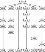 茶叶的六大种类有哪些 茶叶的种类有哪些
