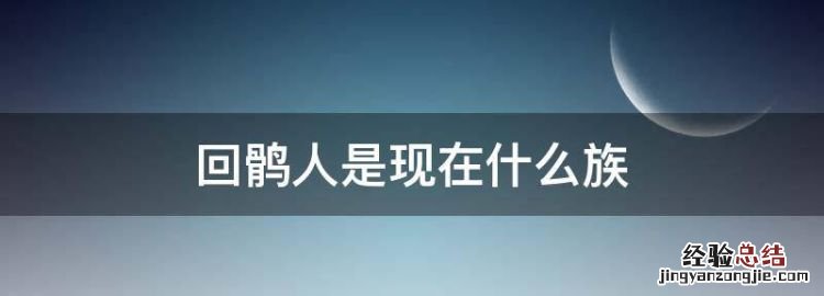 回鹘人是现在什么族，古代胡人是现在的什么民族