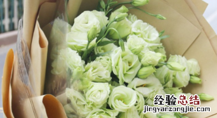 送老师送什么花