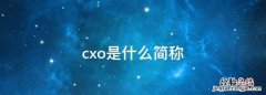 cxo是什么简称，企业中的称呼“VP”是什么意思